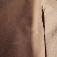 تعدادی موکت به متراژ بالا