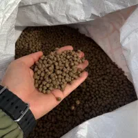 فروش غذای ماهی