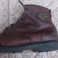 پوتین آمریکایی