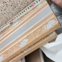 قاب پرده (تاج پرده)
