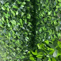 چمن مصنوعی.فنس چمن.دیوارسبز|مصالح و تجهیزات ساختمان|فولادشهر, B4|دیوار