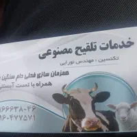 خدمات تلقیح مصنوعی و همزمان سازی فحلی