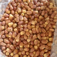 خرما زاهدی (قصب)