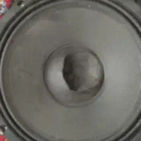 ساب ووفر دایناکورد|صوتی و تصویری|شیراز, کرونی(خاتونک)|دیوار