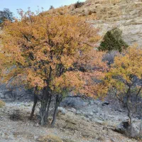 در حاشیه توحید