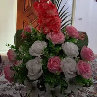 گل بیدونی گلدان|گل و گیاه طبیعی|تهران, جوادیه|دیوار