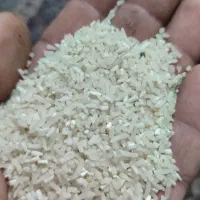 برنج و لاشه و نیم دانه فجر سوزنی عطری