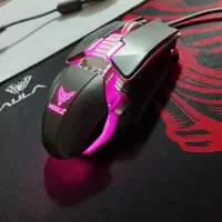 موس هیسکا به همراه پد