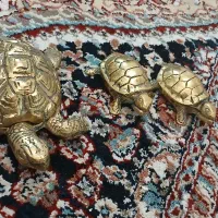 لاک‌پشت برنز