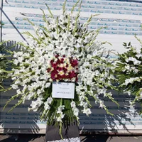 پخش تاج گل ترحیم ختمی فوتی تسلیت 2متری از950|گل و گیاه طبیعی|کرج, گلشهر|دیوار