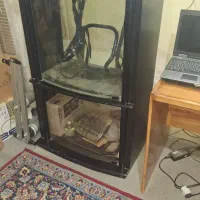 خریدار واقعی|عمدهفروشی|شیراز, تلخ داش|دیوار