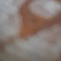 فروش سیم کارت دایمی طلای رند 09007320062