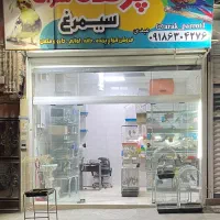 پرنده سرای سیمرغ در شهداصفری