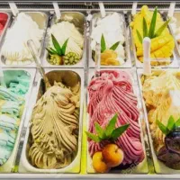 پخش بستنی دومینو|خوردنی و آشامیدنی|تهران, بوستان سرخه حصار|دیوار