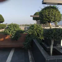 اجرا و طراحی فضای سبز بصورت حرفه ای|خدمات باغبانی و درختکاری|نوشهر, |دیوار