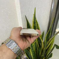 اپل ایفونiPhone 13پروحافظه یه ترابایت اقساطی محدود|موبایل|اصفهان, احمدآباد|دیوار