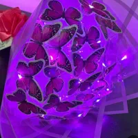 دسته گل پروانه ای و شب تاب