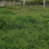 مسکونی ویلای