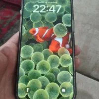 اپل iPhone 16 Pro Max با حافظهٔ ۲۵۶ گیگابایت|موبایل|اهواز, زیتون کارمندی|دیوار