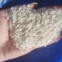 برنج هاشمی درجه یک سورتینگ زده