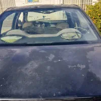 سمند مدل ۸۲|خودرو سواری و وانت|شیراز, ملاصدرا|دیوار