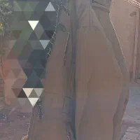 پالتورنگ لشمی|لباس|تفت, |دیوار