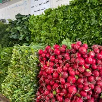 کارگر میوه فروشی خیلی فوری
