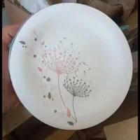 آرکوپال