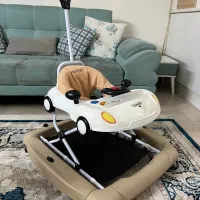 روروئک دلیجان کرم