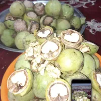 گردو درجه یک وپرچرب توسرکان