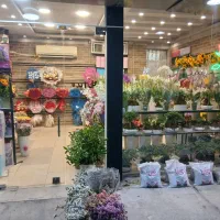 گل ارایی تاج گل ترحیم دسته گل طبیعی و مصنوعی سبدگل|خدمات پذیرایی، مراسم|کرج, گلشهر|دیوار