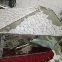 آکواریوم|ماهی|سوسنگرد, |دیوار