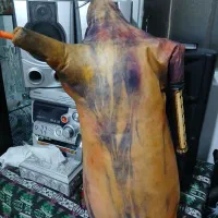 نی انبان ساز بادی