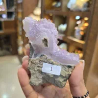 راف امیتیست ایرانی و اروگوئه