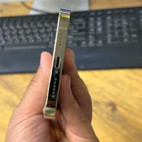 12promax 256/CH gold|موبایل|یزد, |دیوار