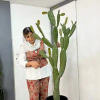 درختچه مصنوعی و شکوفه  و بامبو چیناز ارزانی