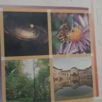 کلاس خصوصی ریاضی