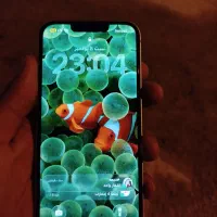 اهواز کوت عبدالله مسیر کوت امیر روستای بهر