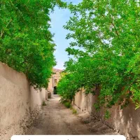 فروش گلخانه در محدوده گلاب نزدیک به تیران