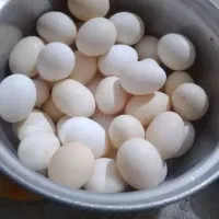 تخم مرغ محلی