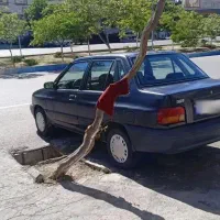 پراید صندوقدار مدل 82