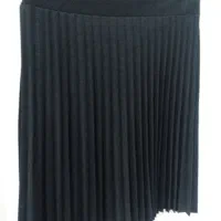 دامل کوتاه پلیسه