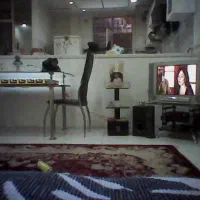 سرایداری وخدمات