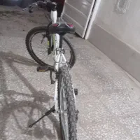 دوچرخه /دوچرخه کارکرده /دوچرخه بازسازی شده|دوچرخه، اسکیت، اسکوتر|گنبد کاووس, |دیوار