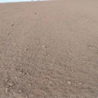 اجاره زمین کشاورزی