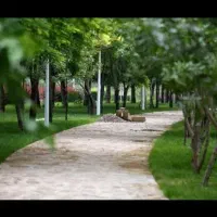 کارگاه-اجاره-یا-شراکت