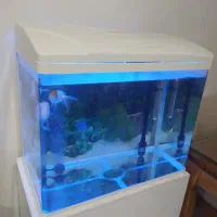 اکواریوم شیشه خم