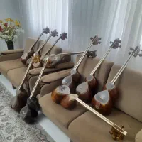 تار حرفه ای