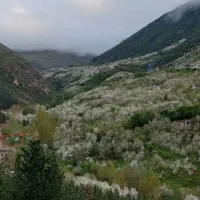 باغ زیبا و سرسبز کنار رودخانه