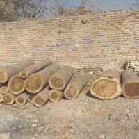 فروش چوب تبریزی